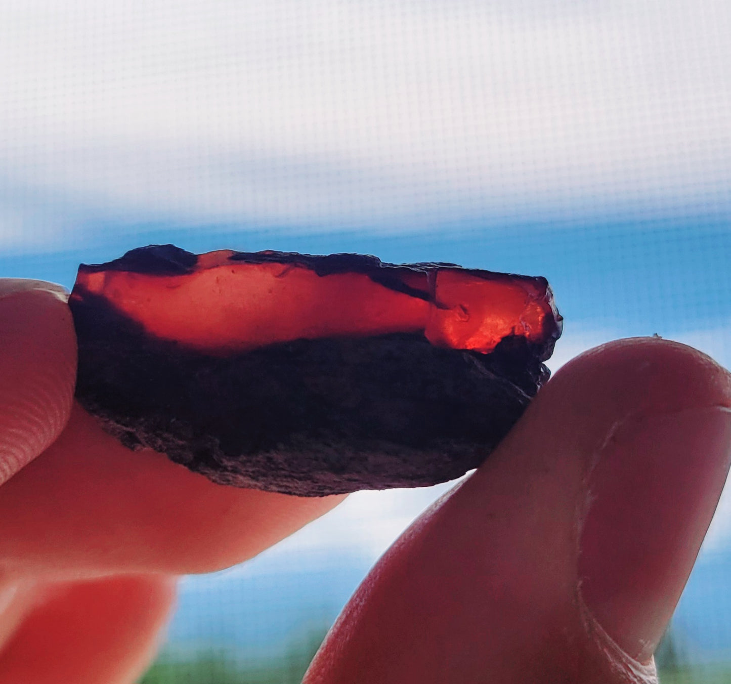 22.52G RARE Canadian, BC Amber Bundle