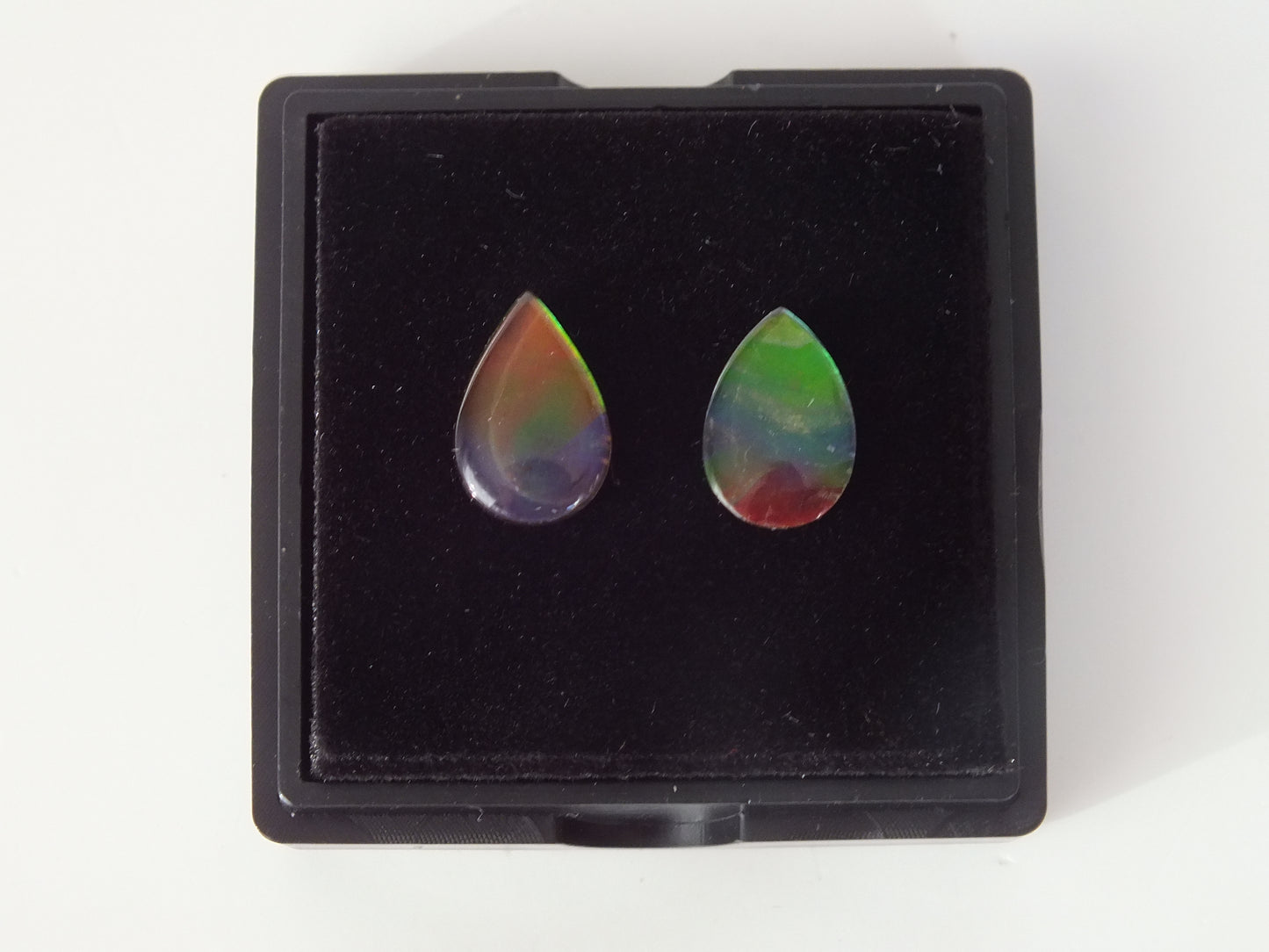 1.25cm Ammolite Pair