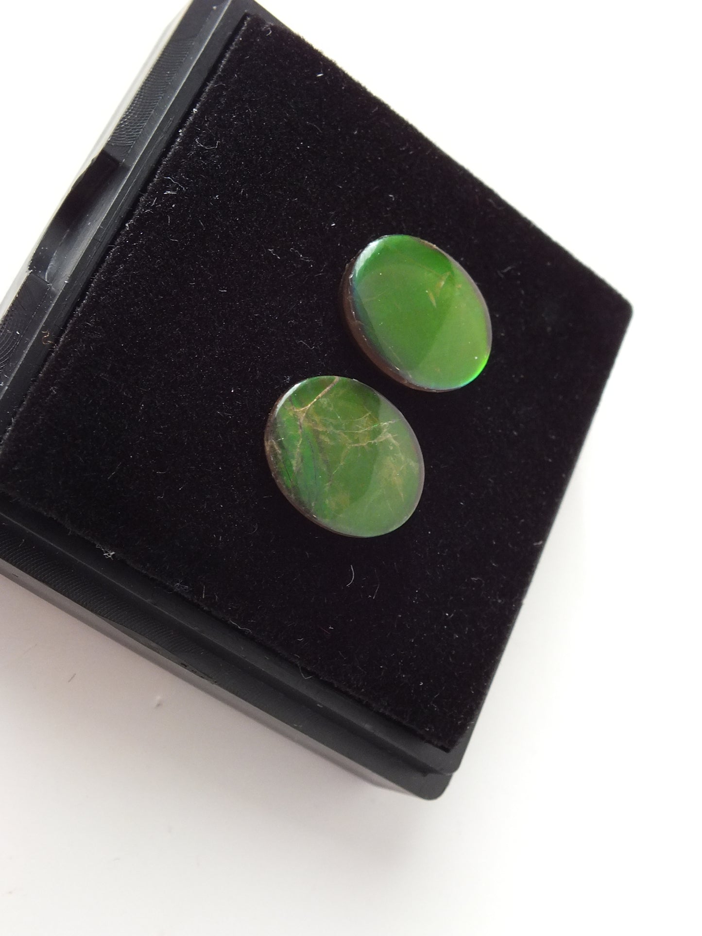 1cm Ammolite pair