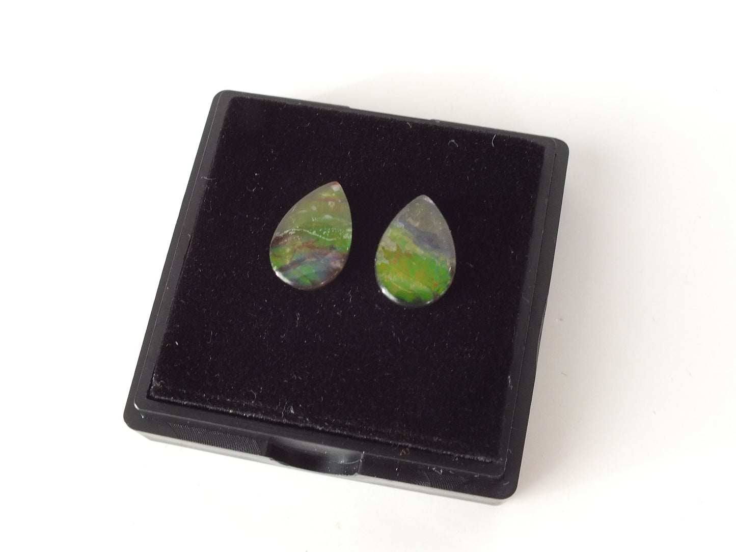 1.15cm Ammolite Pair