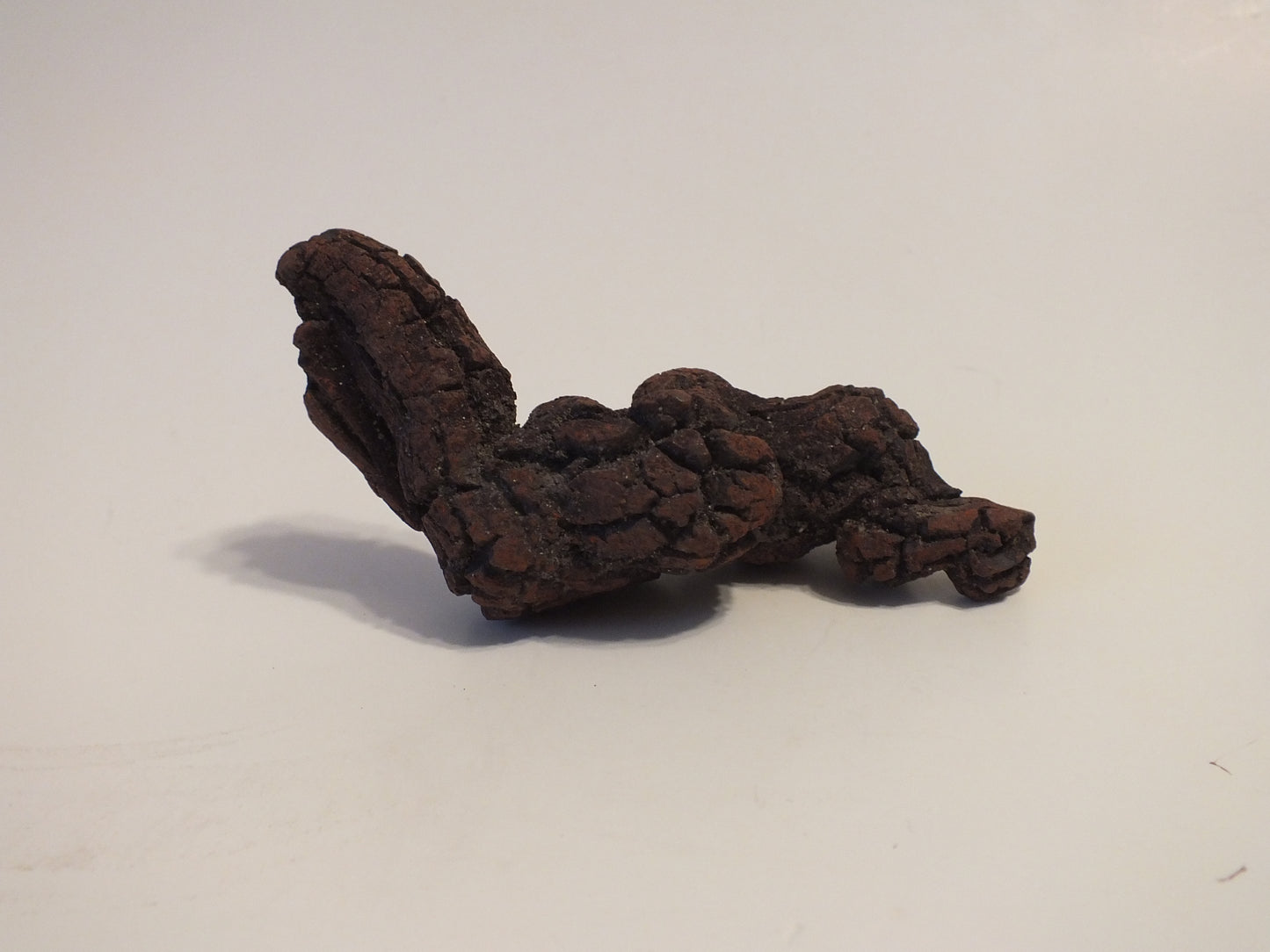 106g Coprolite (Madagascar)