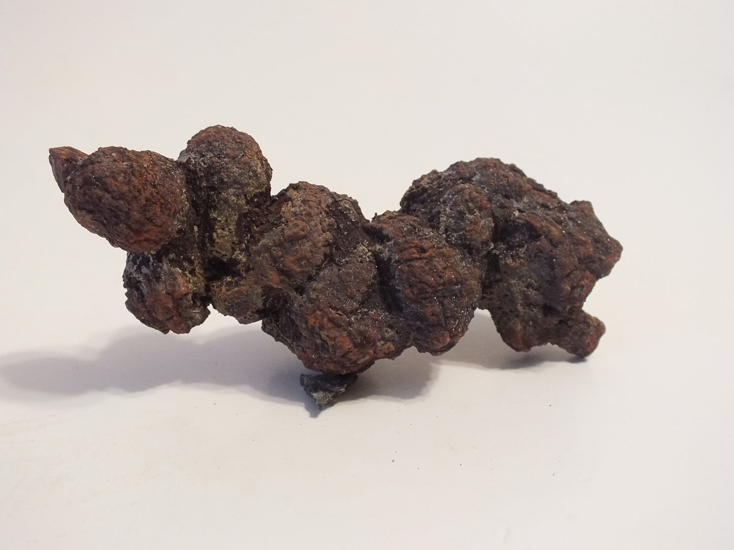 106g Coprolite (Madagascar)