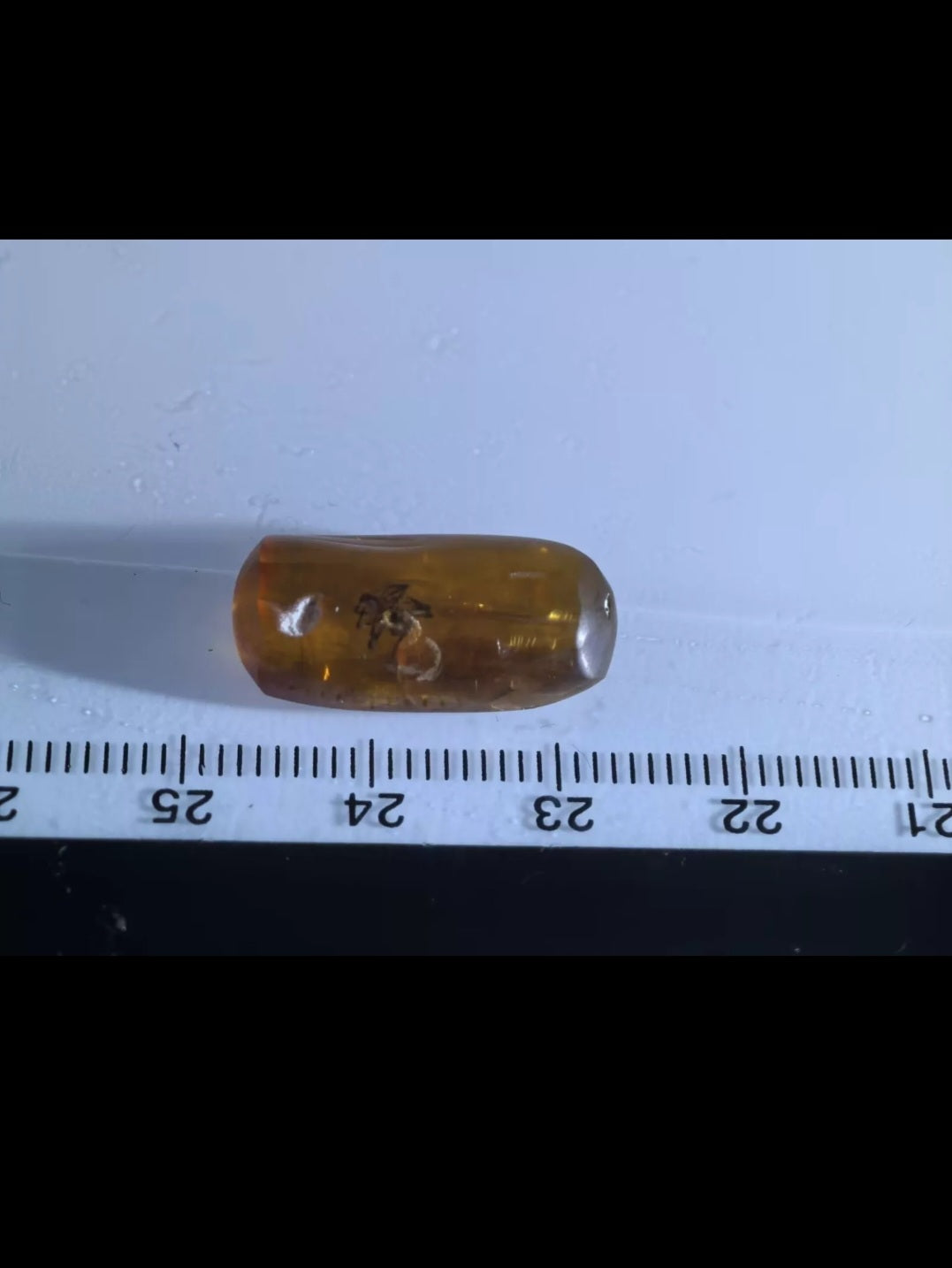 Spider In Burmese Amber