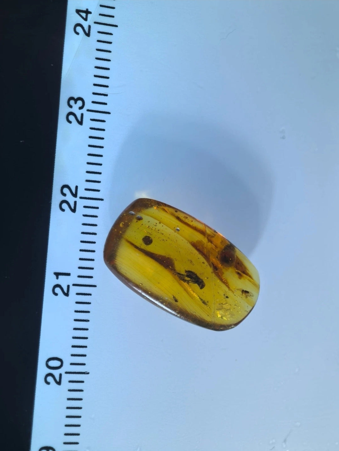 Beetle in Burmese Amber