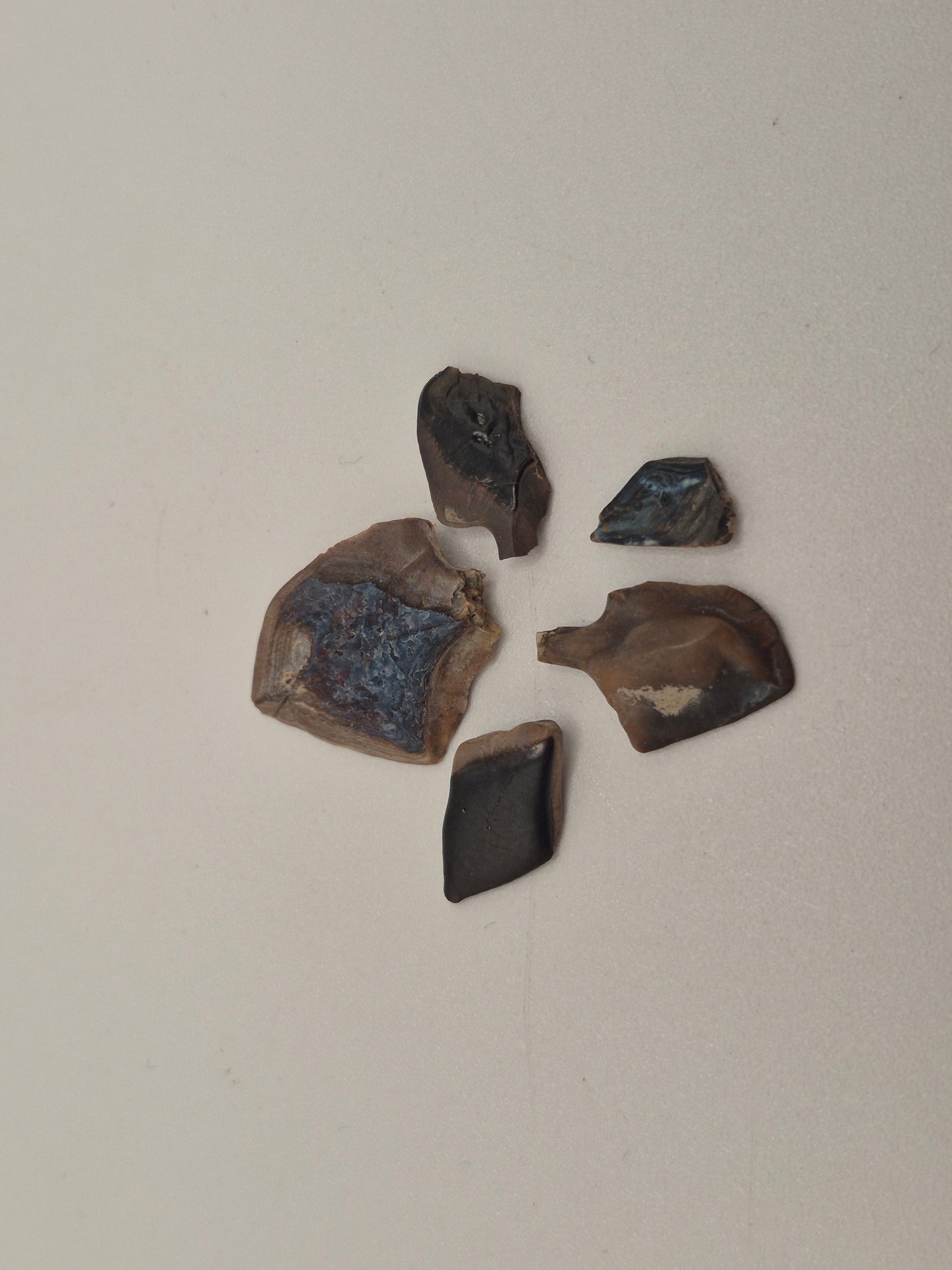 Bundle Of 5 Gar Fish Scales(Judith River)