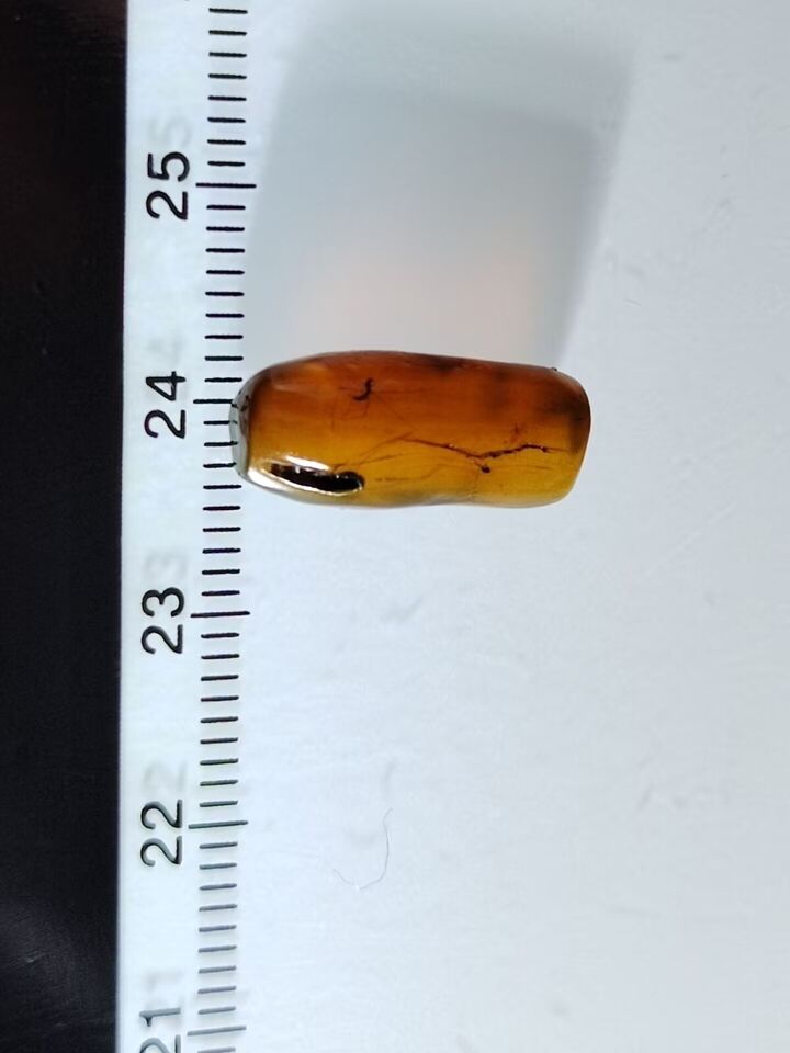 Mosquito In Fossil Burmese Amber