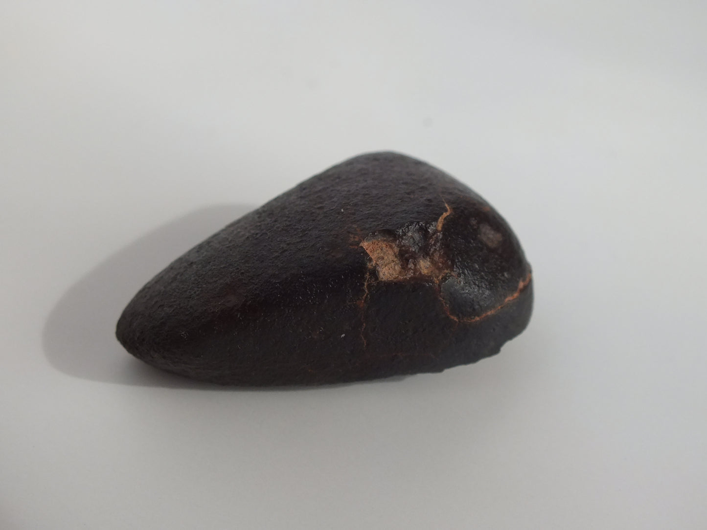 17.7g Complete Meteorite With Fusion Crust