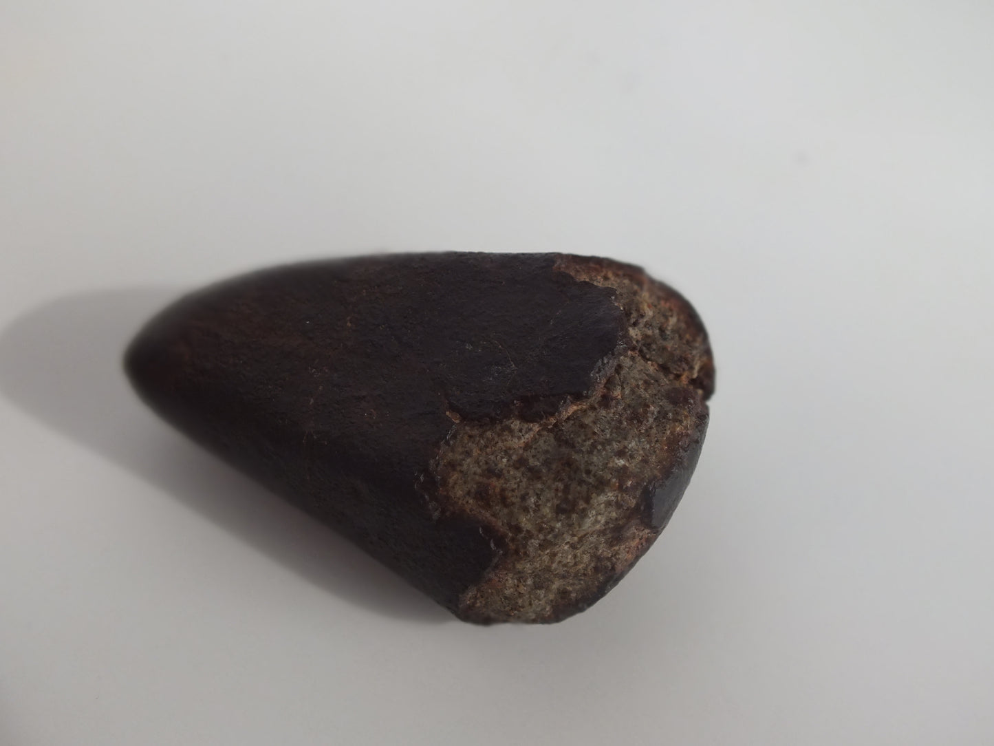 17.7g Complete Meteorite With Fusion Crust