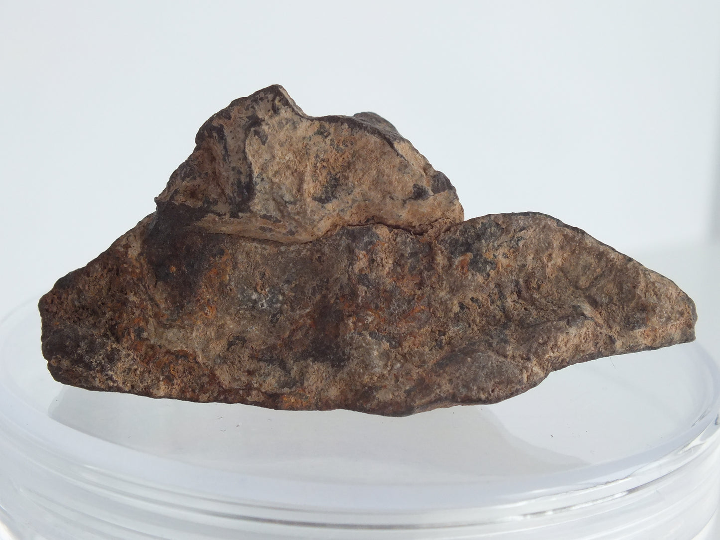 29g Stony Chondrite Meteorite