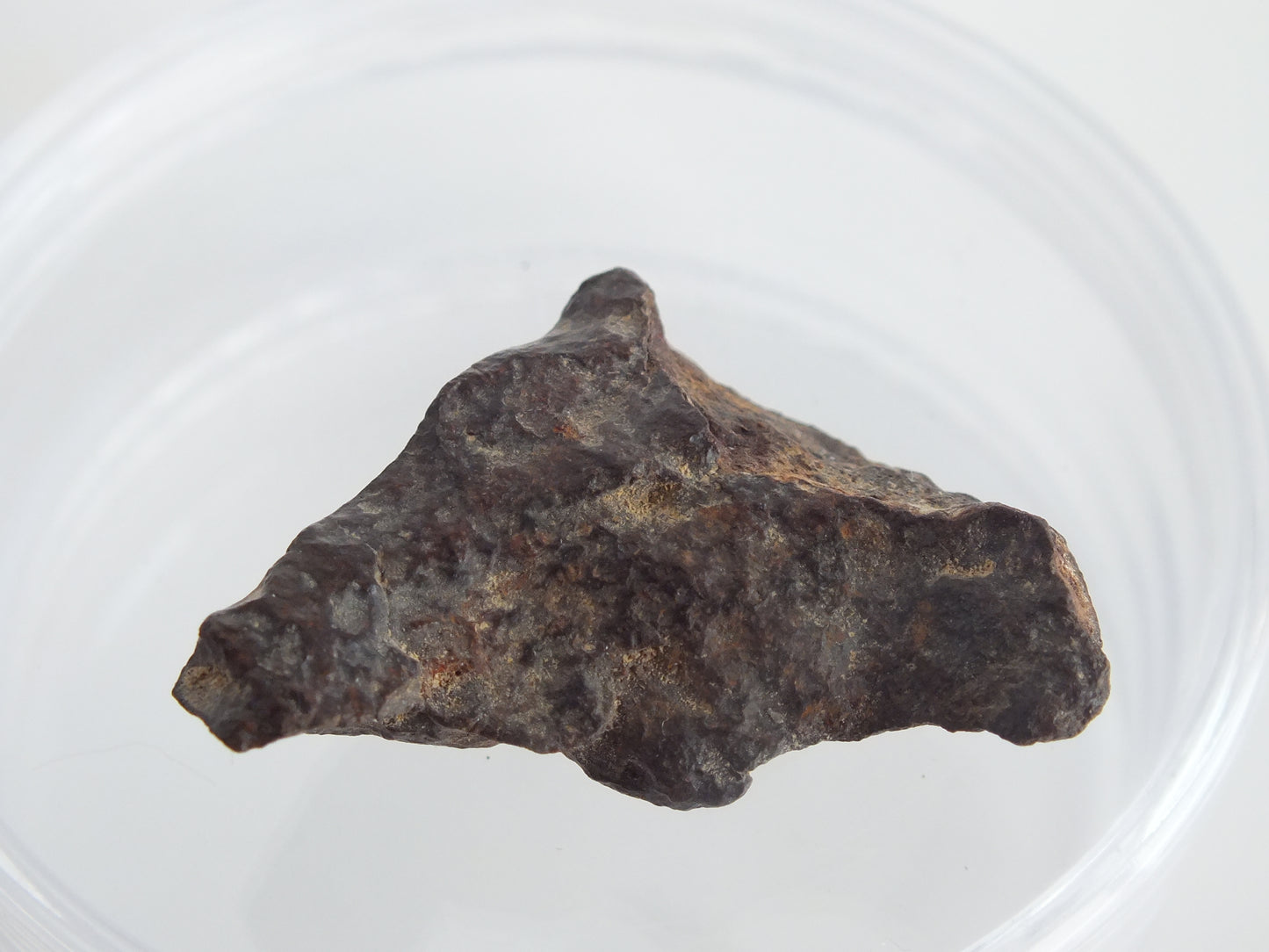11g Stony Chondrite Meteorites