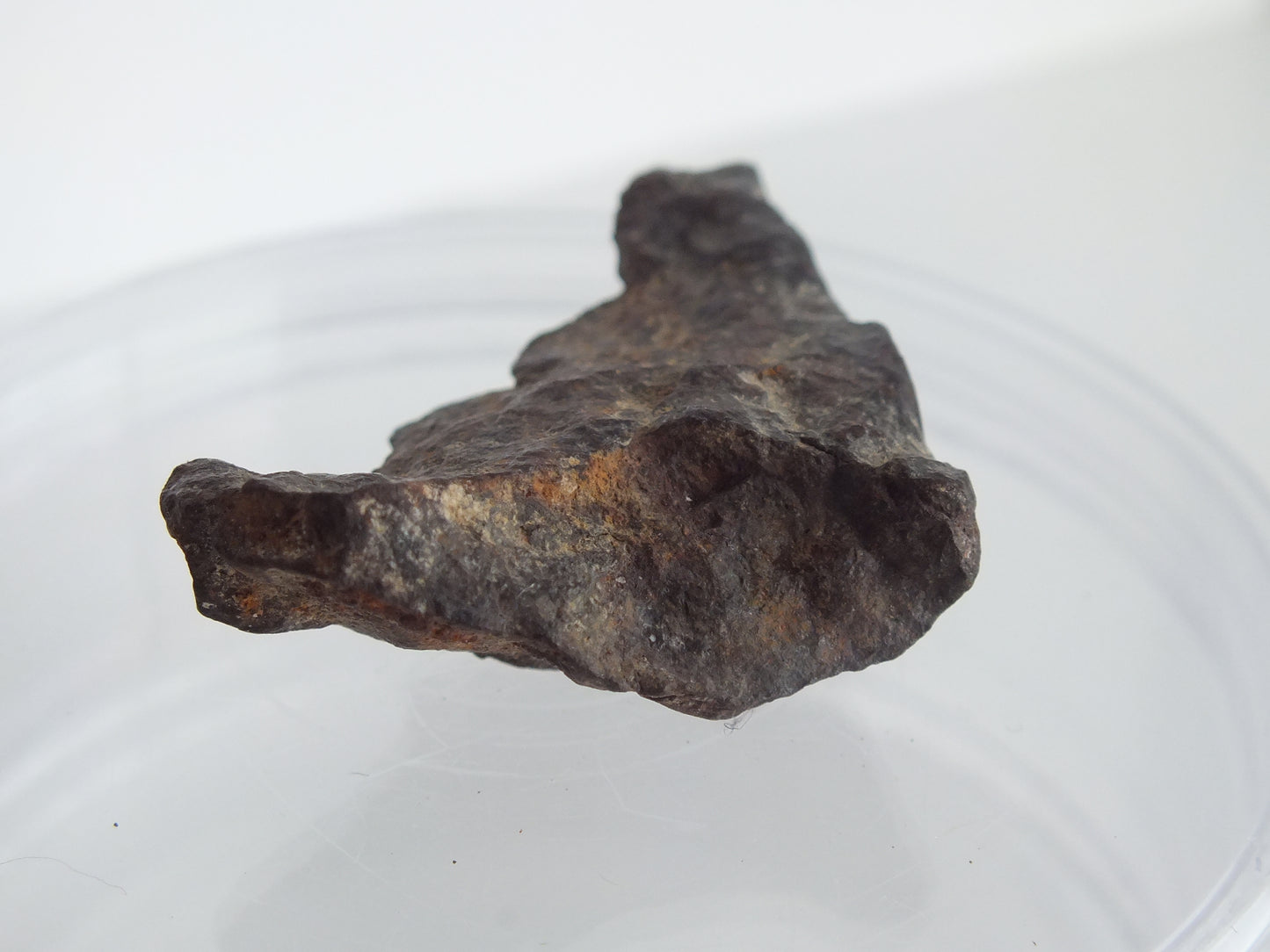11g Stony Chondrite Meteorites