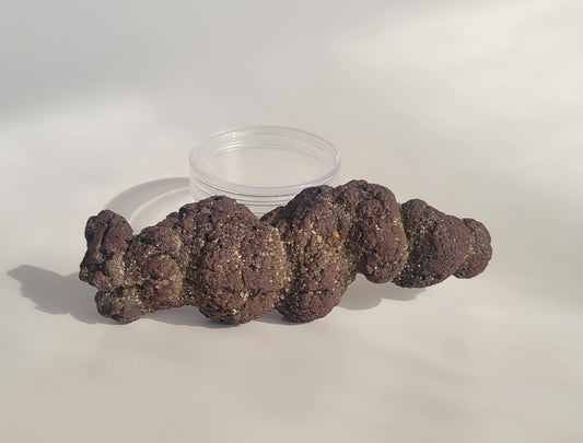 186g Coprolite (Madagascar)