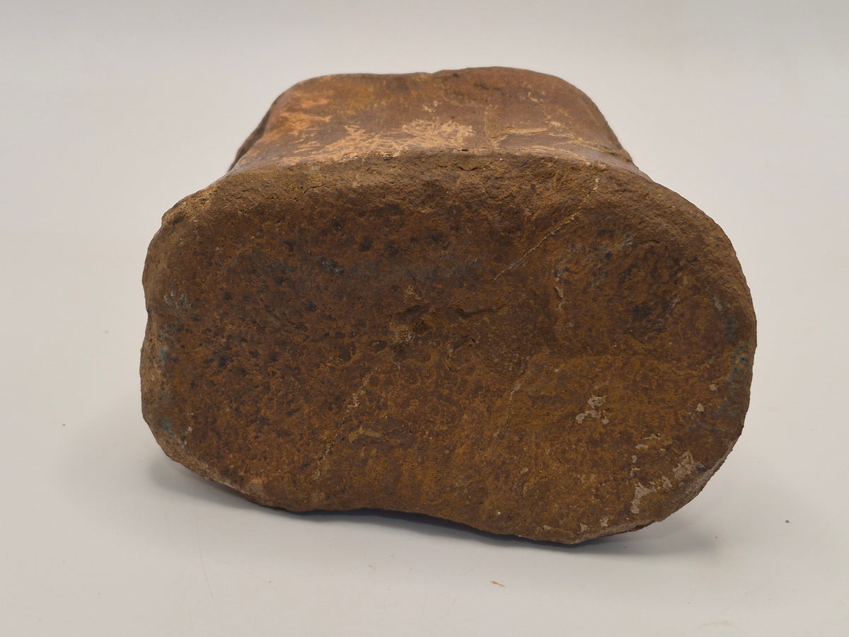 4.2" III-1 Hadrosaur Toe Bone (Judith River)