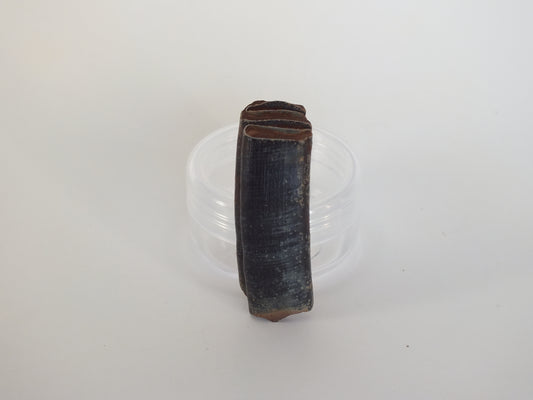 1.77"  Giant Beaver Fossil Tooth