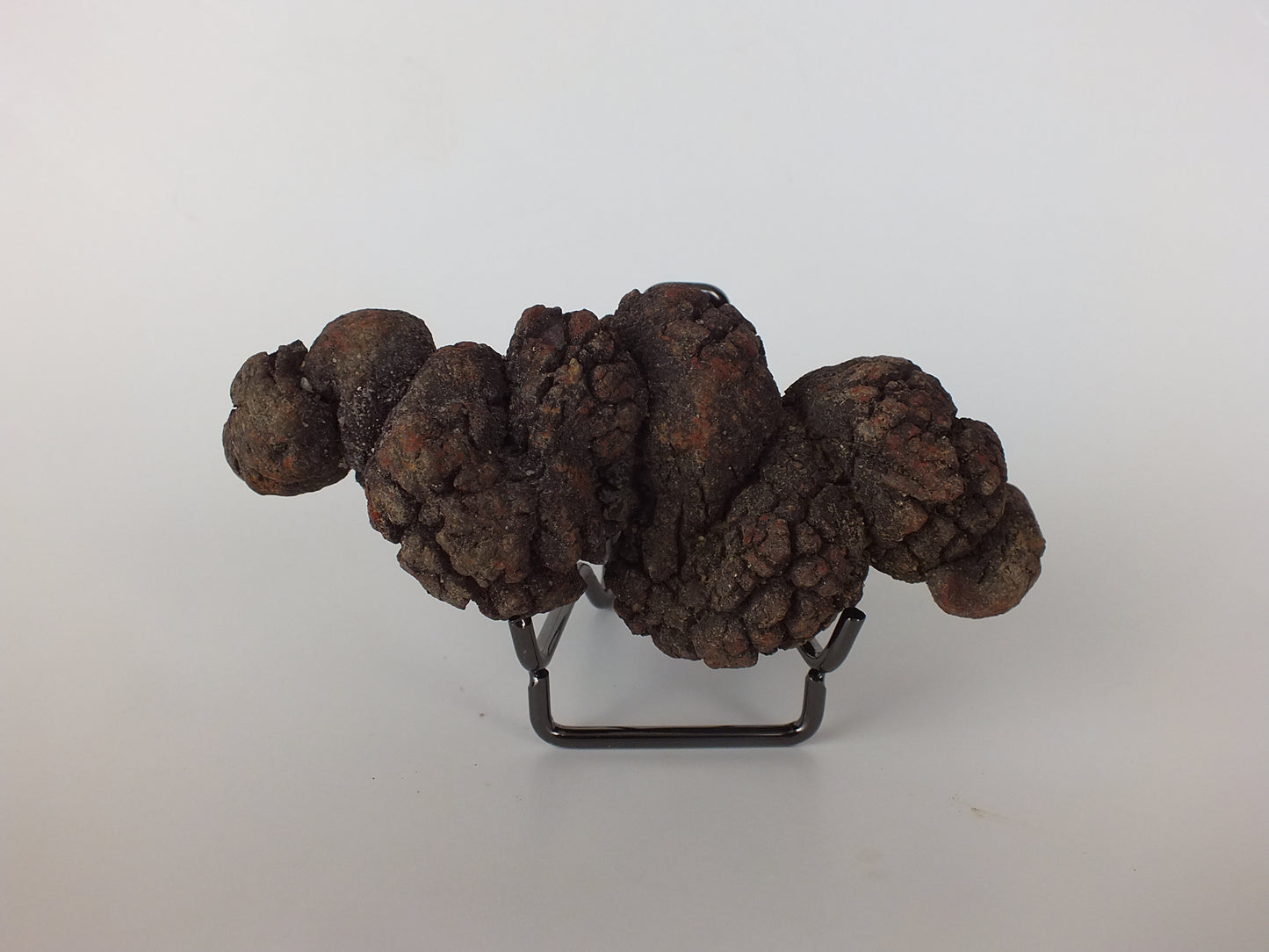 250g Coprolite (Madagascar)
