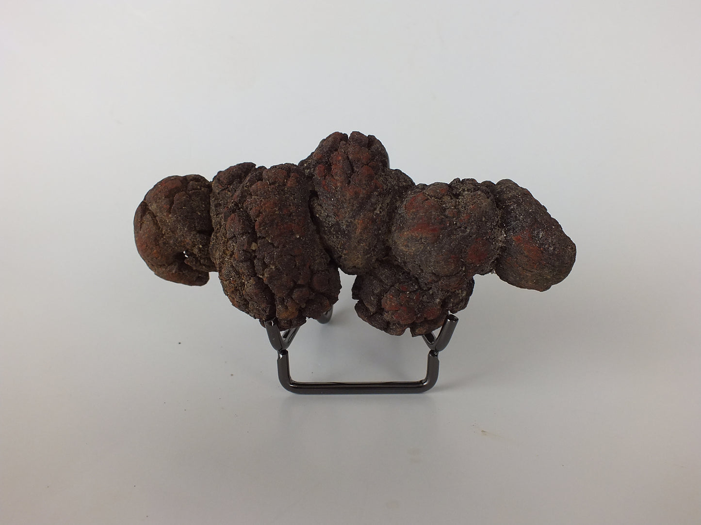 250g Coprolite (Madagascar)