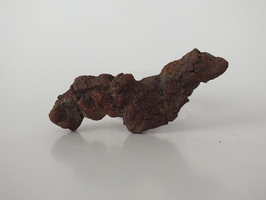 62g Coprolite (Madagascar)