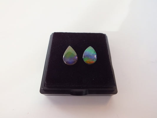 1.25cm Ammolite Pair