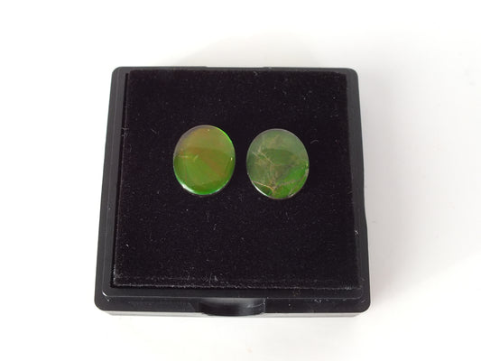1cm Ammolite pair