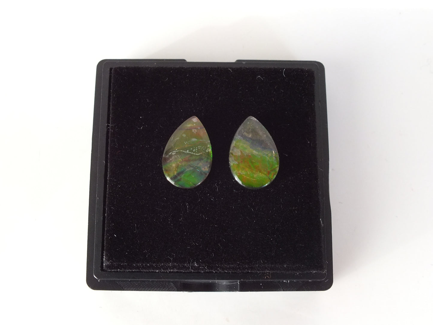 1.15cm Ammolite Pair