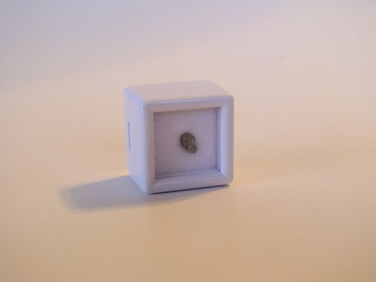 0.053g Nakhlite Meteorite