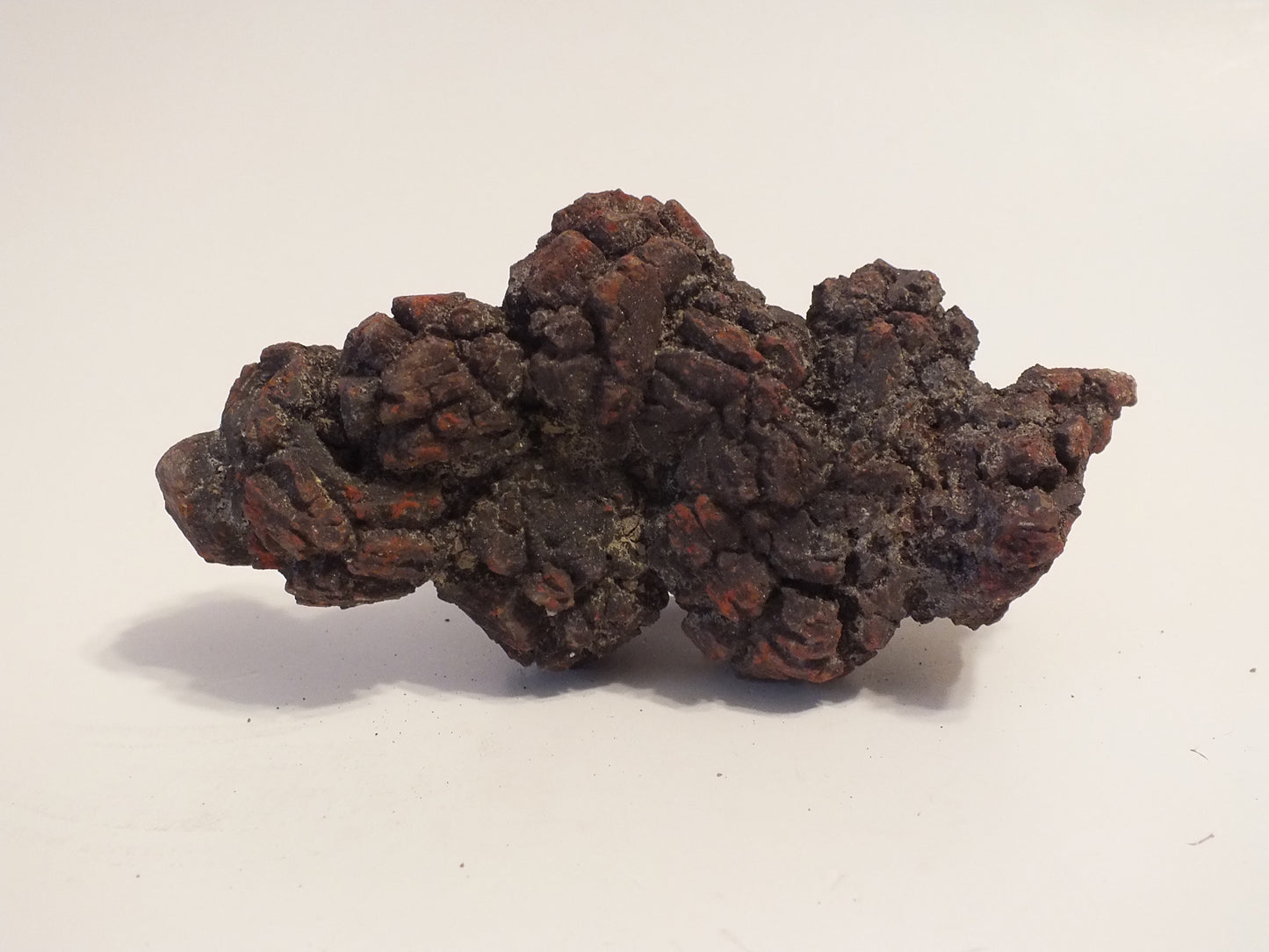 281g Coprolite (Madagascar)