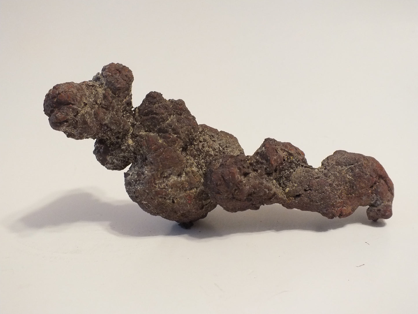 292g Coprolite (Madagascar)