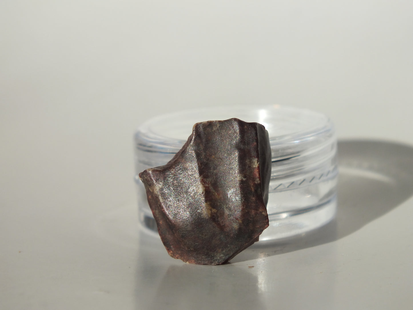 0.79" Ouranosaurus Tooth (Niger)