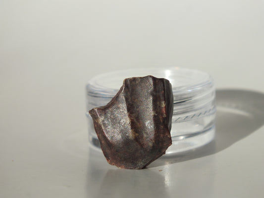 0.79" Ouranosaurus Tooth (Niger)