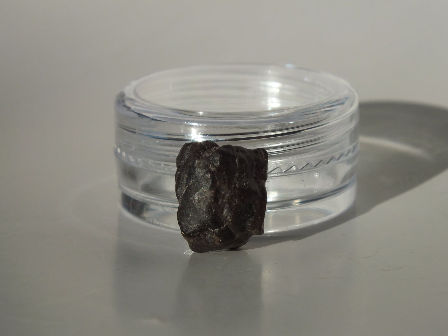0.5" Ouranosaurus Tooth (Niger)