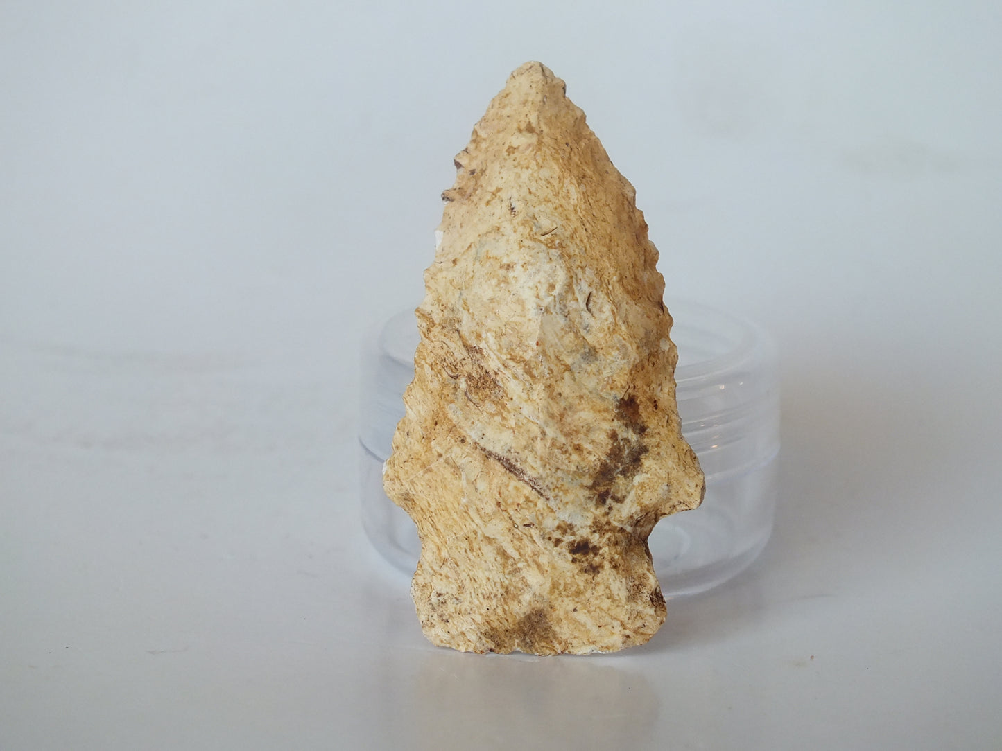 1.98" Boggy Branch Type 2 Arrowhead (Florida)