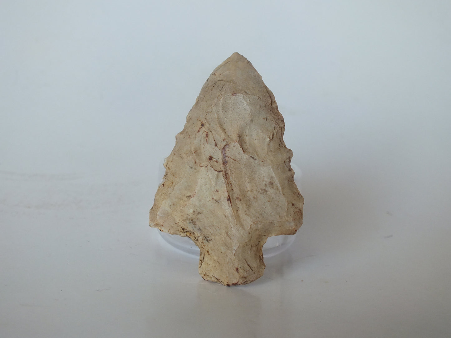 1.64" Elora Stemmed (Tennessee)