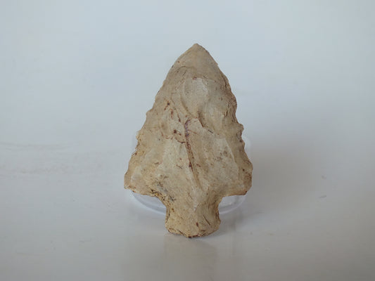 1.64" Elora Stemmed (Tennessee)