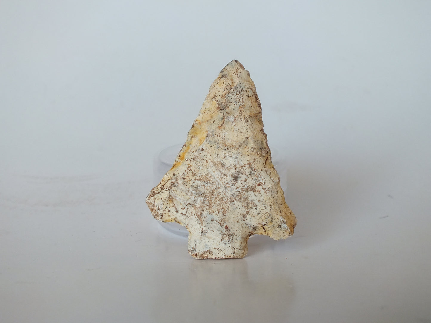 2.06" Abbie Stemmed Arrowhead (Georgia)