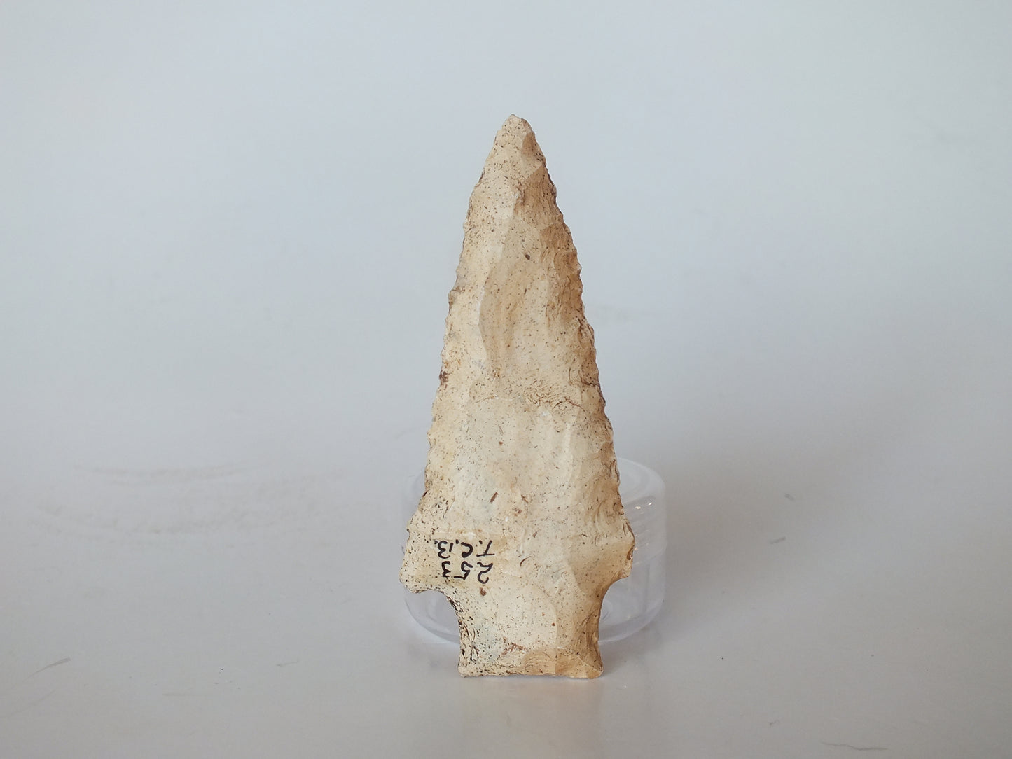 2.36" Kirk Serrated Stemmed (Florida)