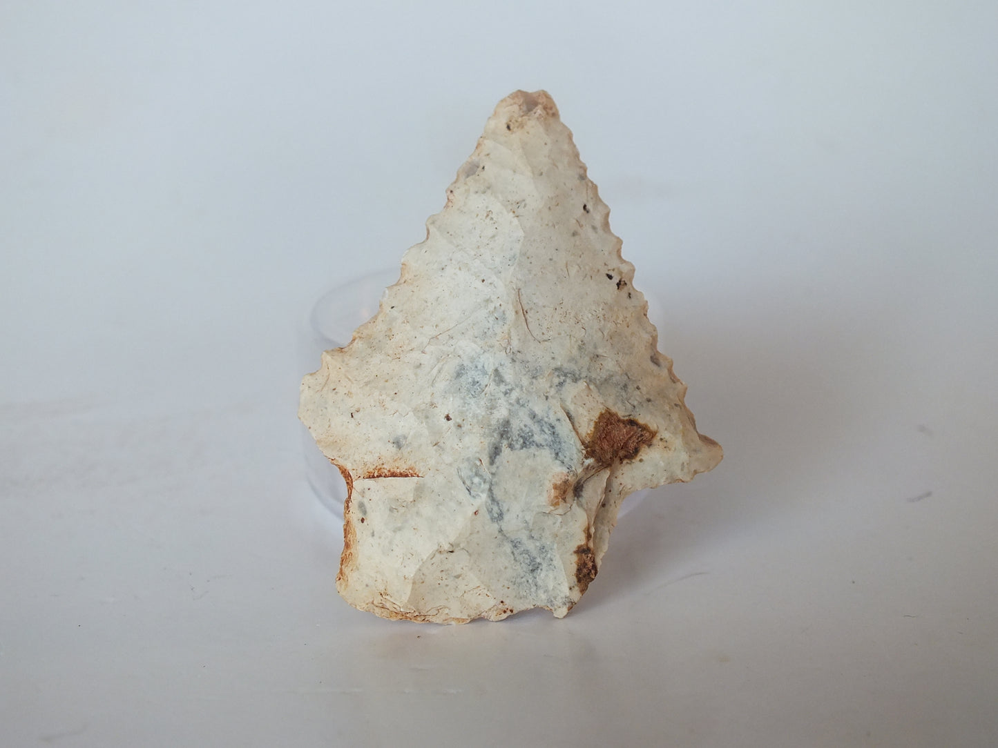 1.45" Elora Stemmed (Tennessee)