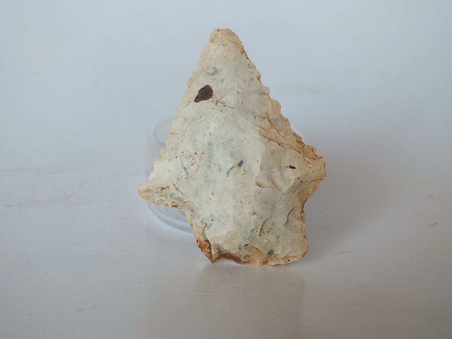 1.45" Elora Stemmed (Tennessee)