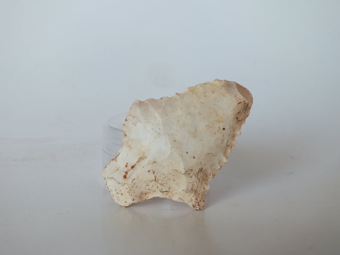 1.5" Elora Stemmed (Tennessee)