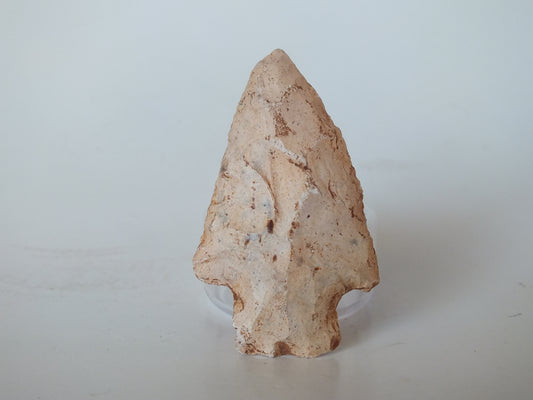 1.8" Alachua Stemmed (Florida)