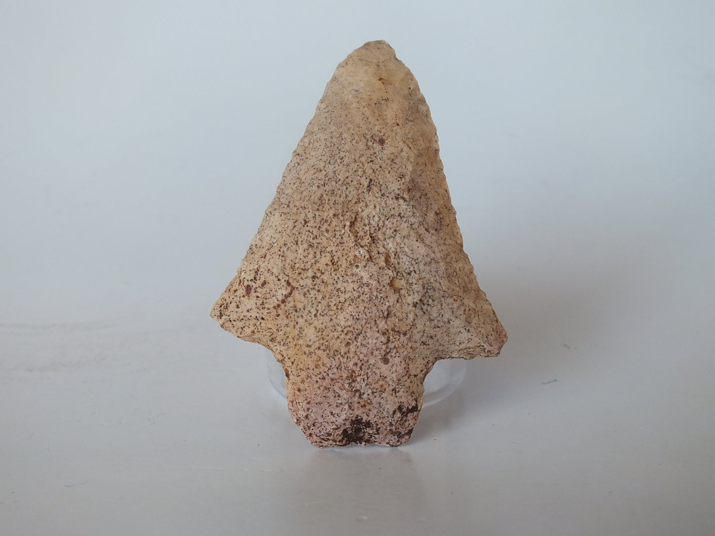 2.79" Alachua Stemmed (Florida)