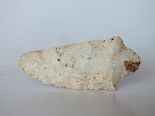 3.78" Putnam Stemmed Point (Florida)