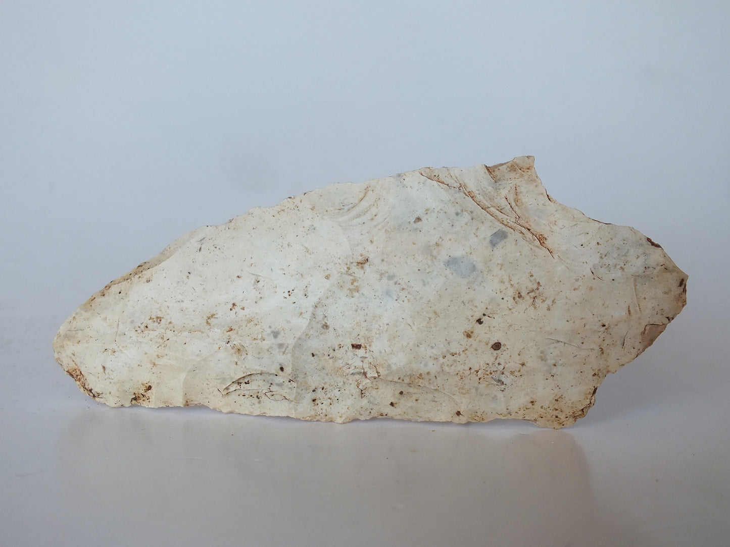 3.78" Putnam Stemmed Point (Florida)