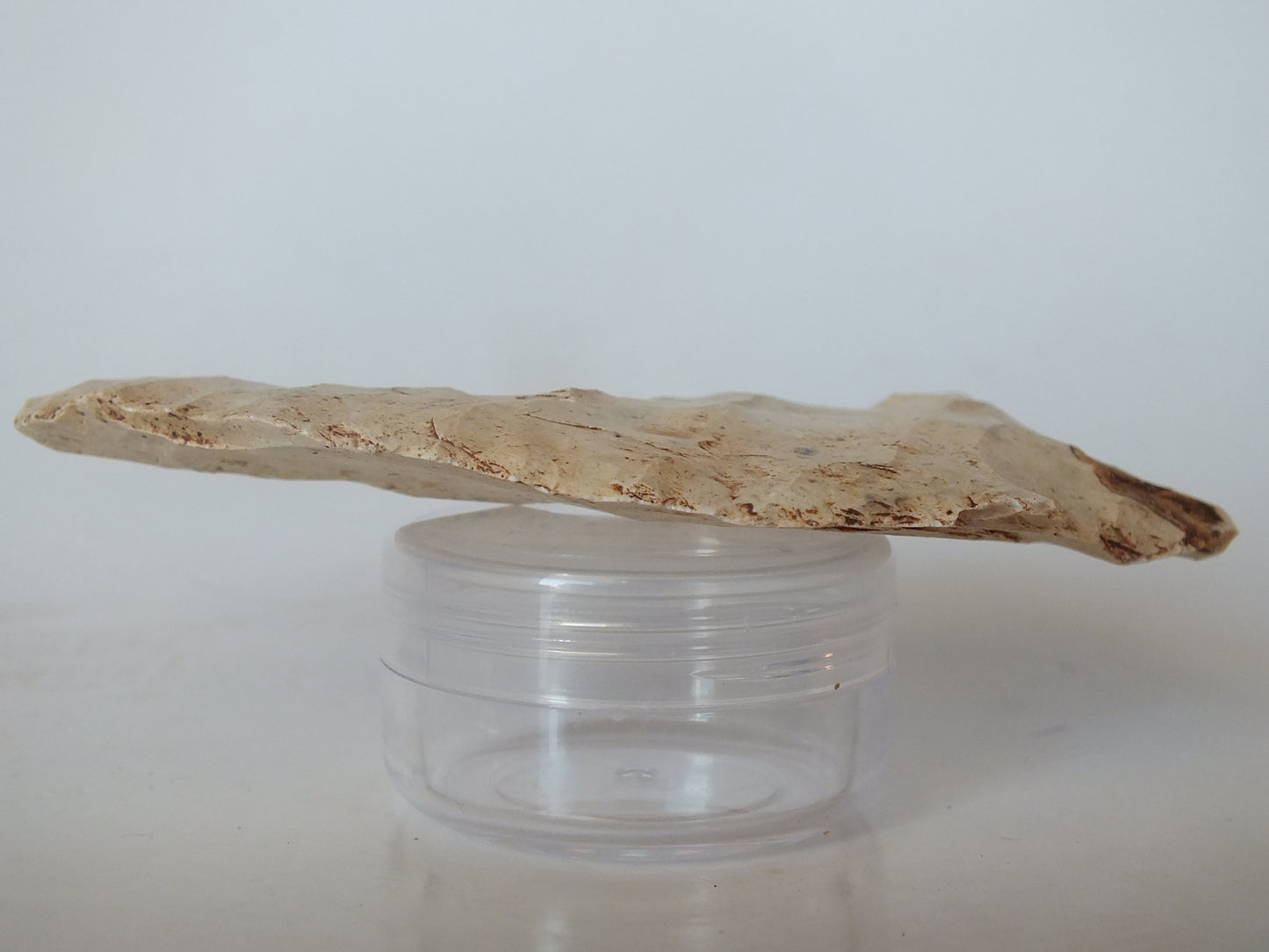 3.78" Putnam Stemmed Point (Florida)
