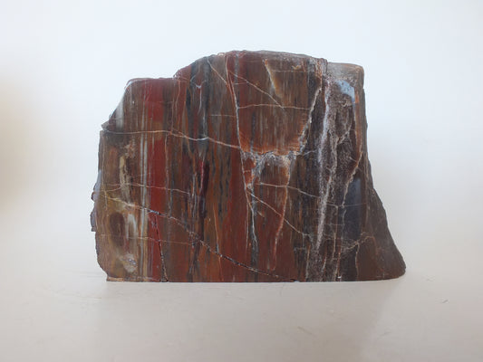 1.02Lbs Polished Petrified Wood