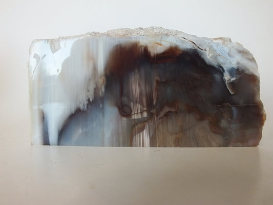 1.01Lbs Polished Petrified Wood