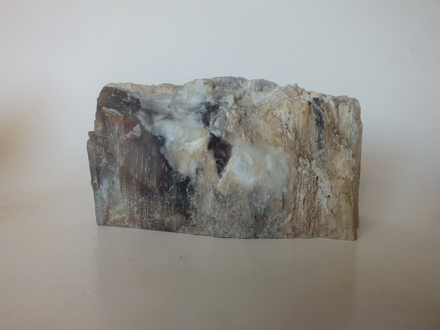 1.01Lbs Polished Petrified Wood