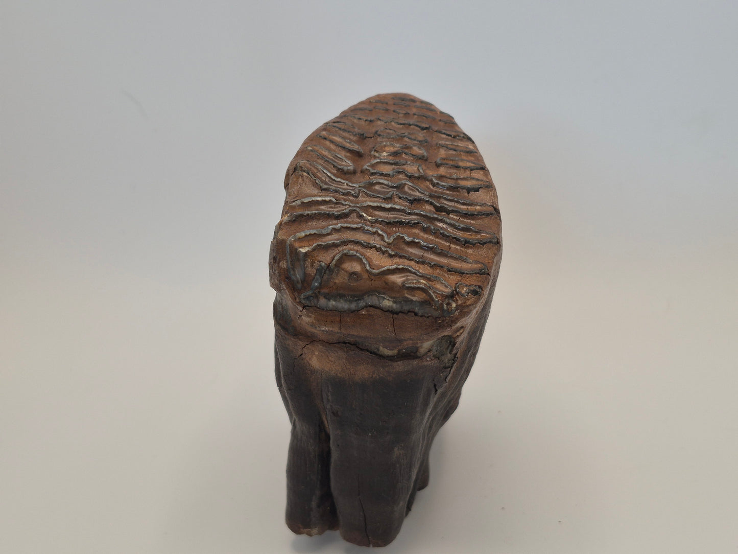 4.5" Mammoth Molar(Alaska)