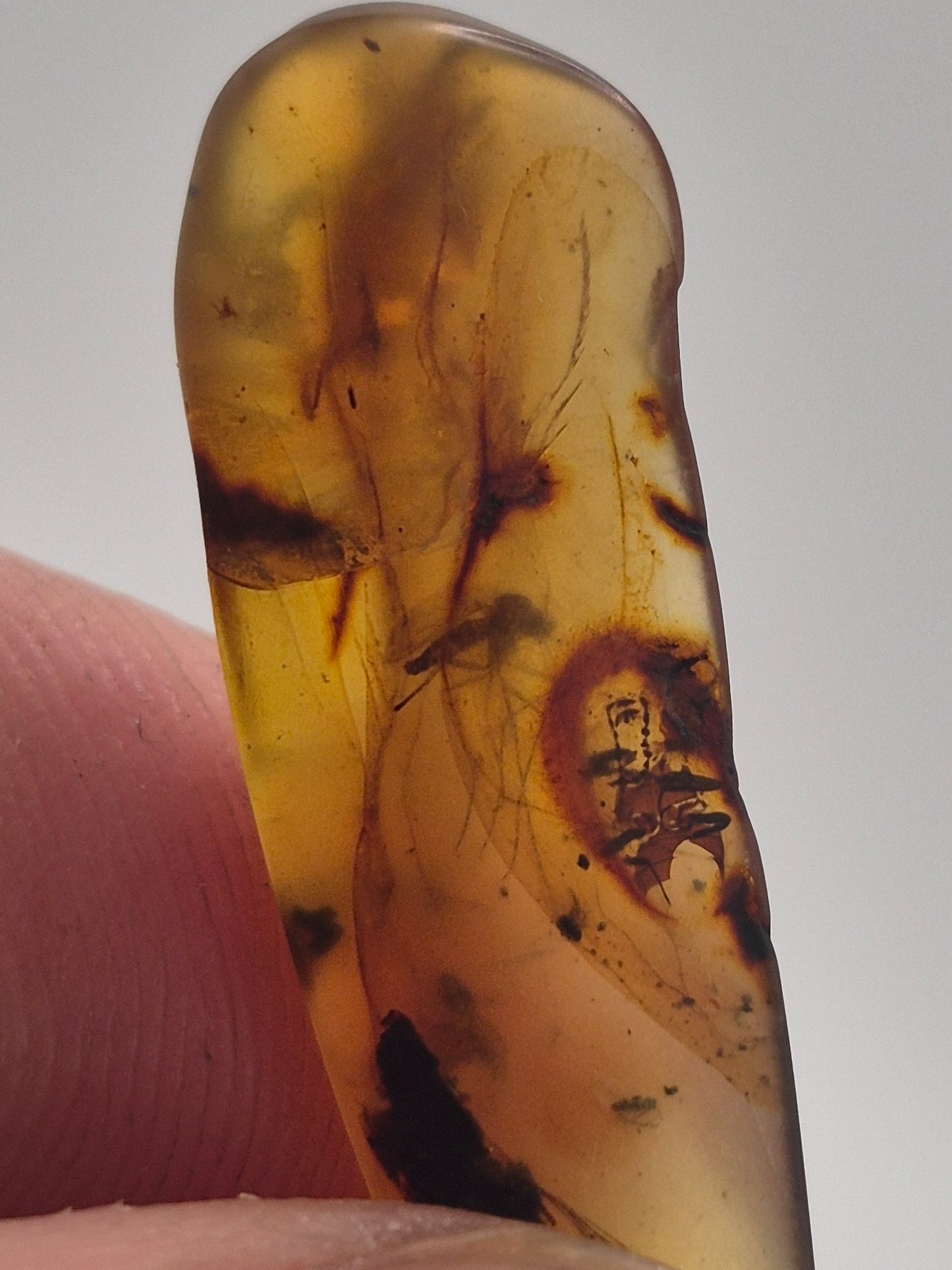 Mosquito in Burmese Amber