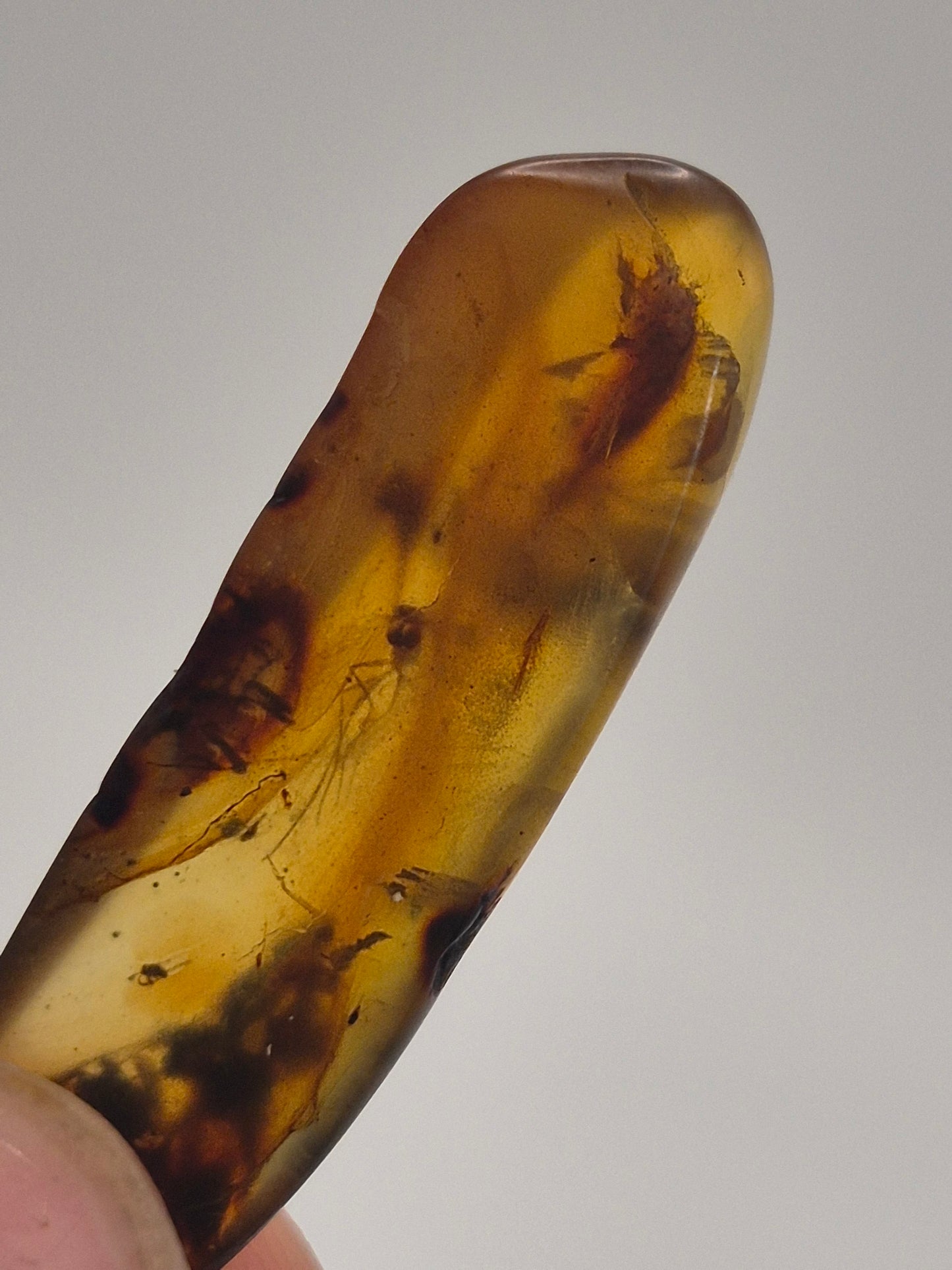 Mosquito in Burmese Amber