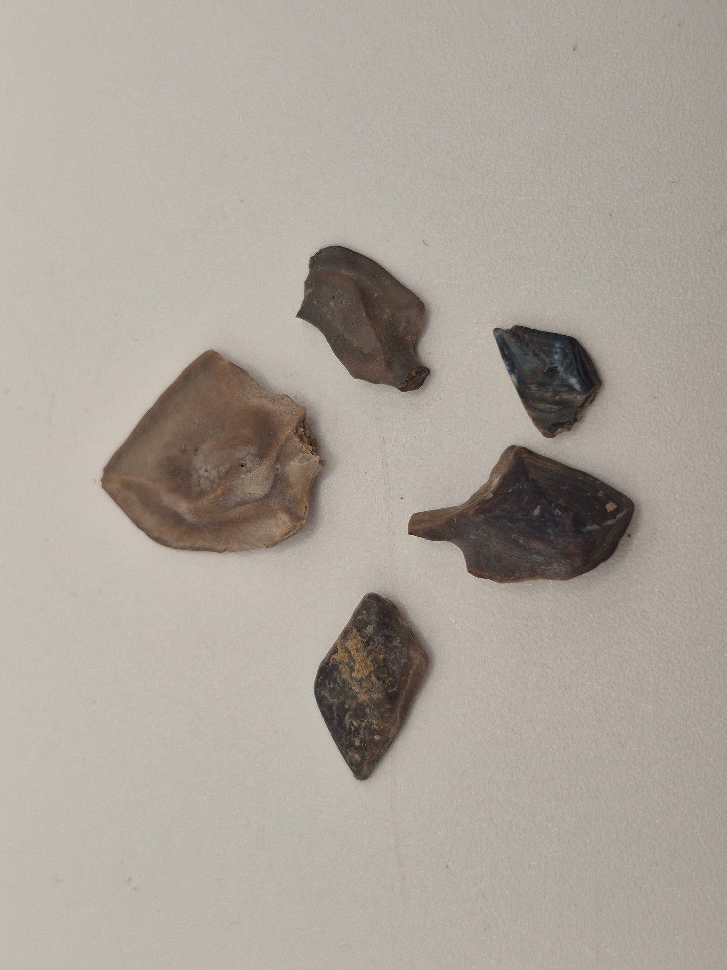 Bundle Of 5 Gar Fish Scales(Judith River)